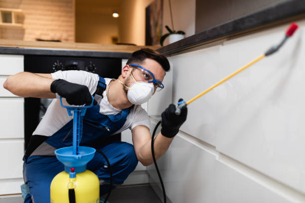 Best Best Pest Control Near Me  in Gamerco, NM