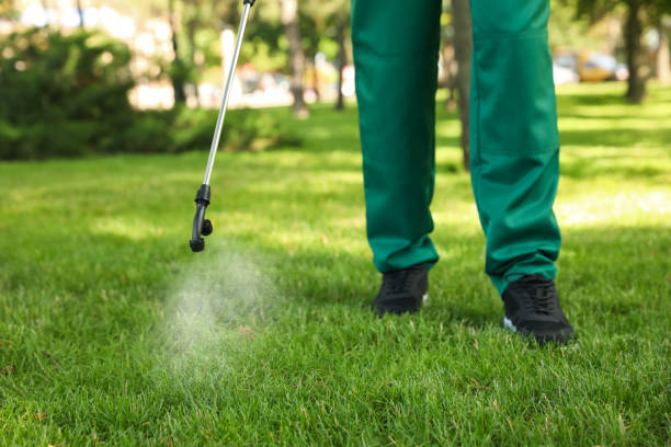 Best Residential Pest Control  in Gamerco, NM
