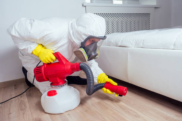 Professional Pest Control in Gamerco, NM