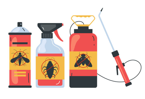Best Affordable Pest Control Services  in Gamerco, NM
