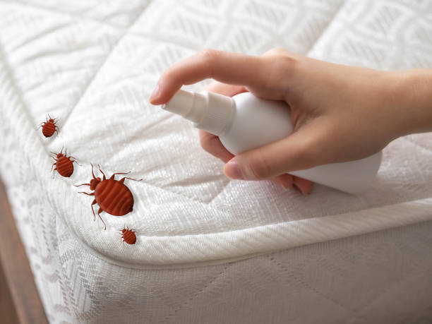 Best Commercial Pest Control Services  in Gamerco, NM
