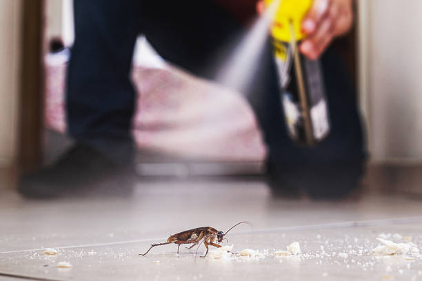 Best Pest Prevention Services  in Gamerco, NM