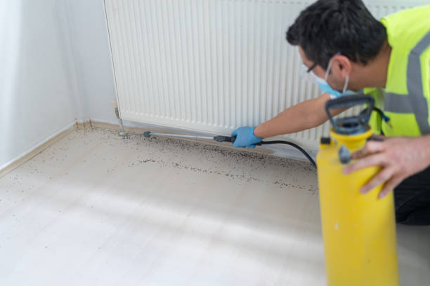 Best Pest Removal Services  in Gamerco, NM